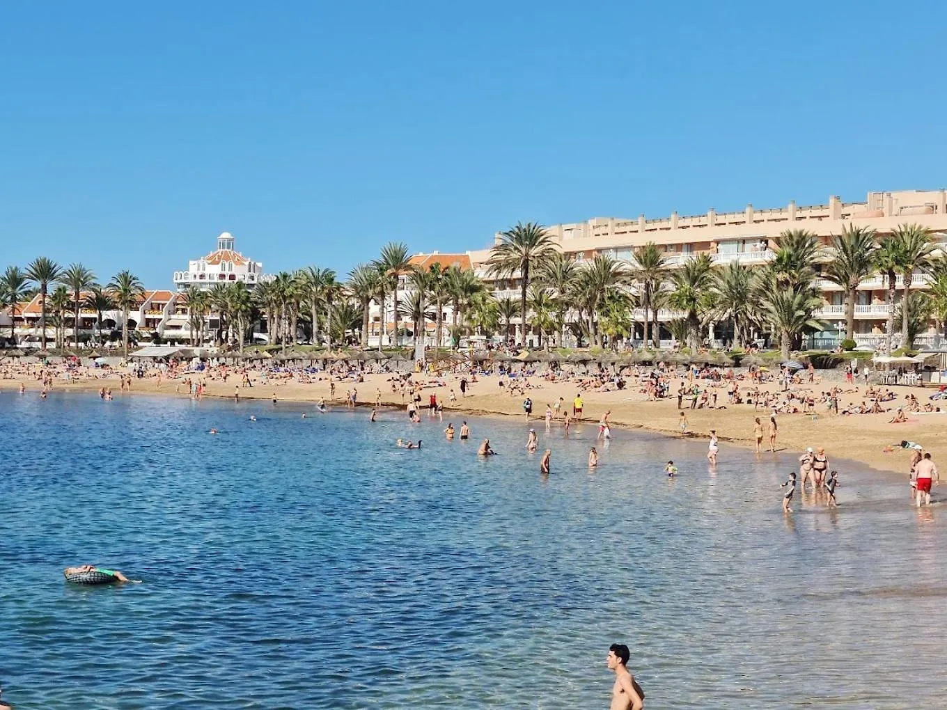 Studio 316 Parque Santiago 1 Tenerife Dream Properties Playa de las Americas  Spain